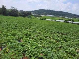 김화연님의 자유주제 · 자유게시판 작성글 사진