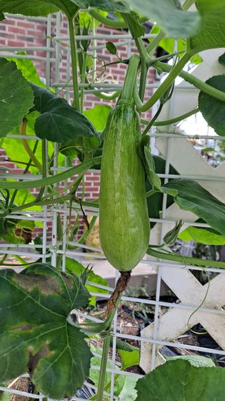 MSG0074님의 자유주제 · 자유게시판 작성글 사진