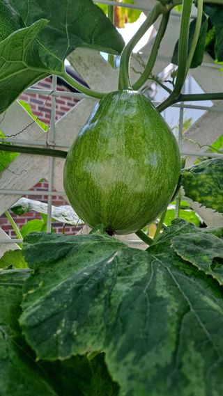 MSG0074님의 자유주제 · 자유게시판 작성글 사진