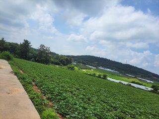 김화연님의 자유주제 · 자유게시판 작성글 사진