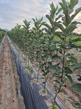 우리농원님의 자유주제 · 자유게시판 작성글 사진