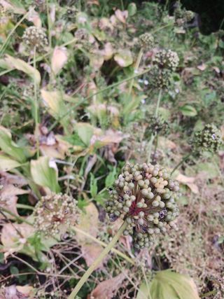 황덕순 님의 작성글 사진