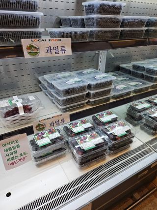 서정훈 님의 자유주제 · 자유게시판 작성글 사진