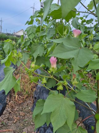 이정민님의 자유주제 · 자유게시판 작성글 사진