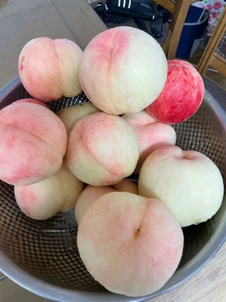 오디님의 자유주제 · 자유게시판 작성글 사진