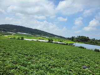 김화연님의 자유주제 · 자유게시판 작성글 사진