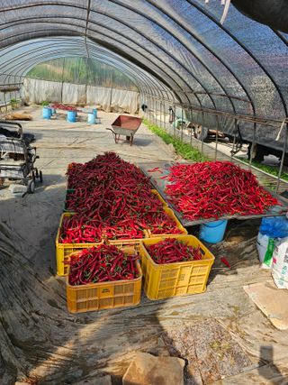 김문철님의 자유주제 · 자유게시판 작성글 사진