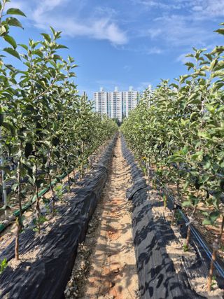 우리농원님의 자유주제 · 자유게시판 작성글 사진