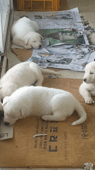 김인선님의 자유주제 · 자유게시판 작성글 사진