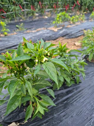 이정민님의 자유주제 · 자유게시판 작성글 사진