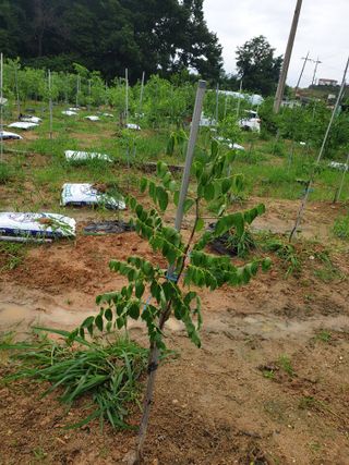 만석꾼님의 자유주제 · 자유게시판 작성글 사진
