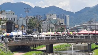 MSG0074님의 자유주제 · 자유게시판 작성글 사진