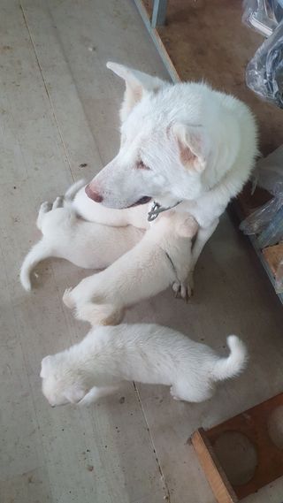 김인선님의 자유주제 · 자유게시판 작성글 사진