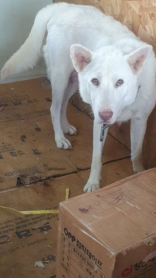 김인선님의 자유주제 · 자유게시판 작성글 사진