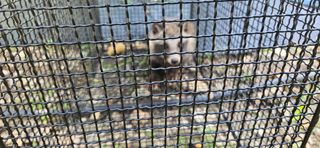 임 촌장.님의 자유주제 · 자유게시판 작성글 사진