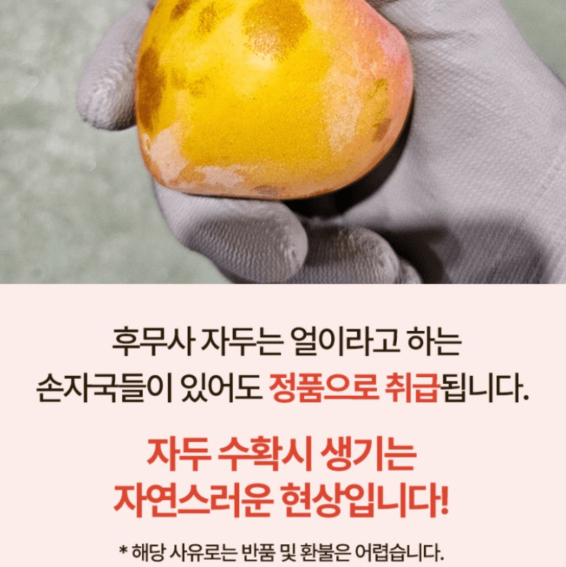 스피드번님의 장터 판매 상품 [국내산 도담/추희자두] 첨부 사진