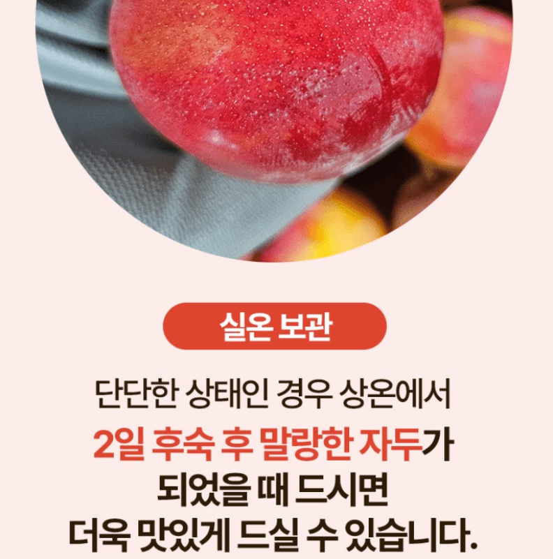 스피드번님의 장터 판매 상품 [국내산 도담/추희자두] 첨부 사진