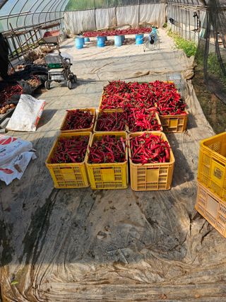 김문철님의 자유주제 · 자유게시판 작성글 사진