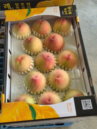 백승란햇사레복숭아님의 자유주제 · 자유게시판 작성글 사진