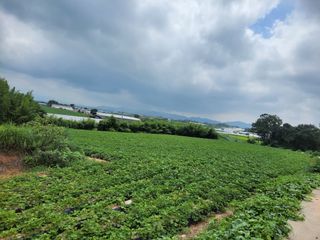 김화연님의 자유주제 · 자유게시판 작성글 사진