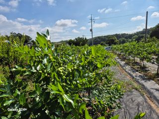전홍열님의 작성글 사진