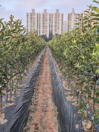 우리농원님의 자유주제 · 자유게시판 작성글 사진