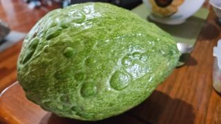 유경윤님의 농사, 무엇이든 물어보세요! · 참여글 작성글 사진