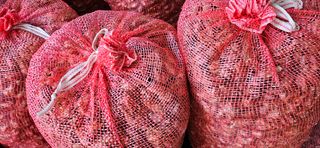 슬로푸드 쪽파 여왕님의 자유주제 · 자유게시판 작성글 사진