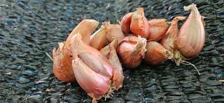 슬로푸드 쪽파 여왕님의 자유주제 · 자유게시판 작성글 사진