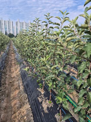 우리농원님의 자유주제 · 자유게시판 작성글 사진