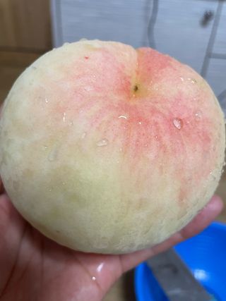 오디님의 자유주제 · 자유게시판 작성글 사진