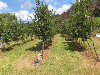 의성,군위 나상덕님의 자유주제 · 자유게시판 작성글 사진