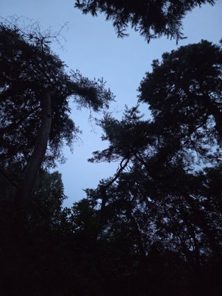 백승란햇사레복숭아님의 자유주제 · 자유게시판 작성글 사진