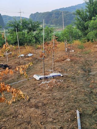 만석꾼님의 자유주제 · 자유게시판 작성글 사진