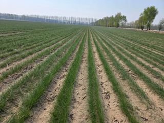 호랭이님의 자유주제 · 자유게시판 작성글 사진