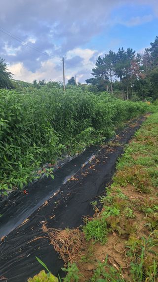 탱크로리유대식님의 자유주제 · 건의해요 작성글 사진