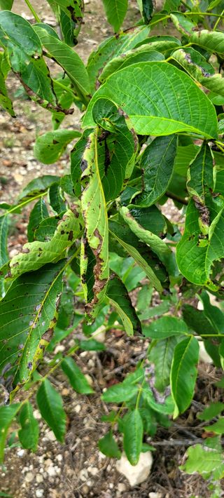 김영수님의 자유주제 · 자유게시판 작성글 사진