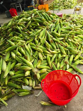 장관덕님의 자유주제 · 자유게시판 작성글 사진