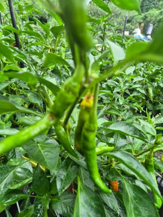 해마님의 자유주제 · 자유게시판 작성글 사진