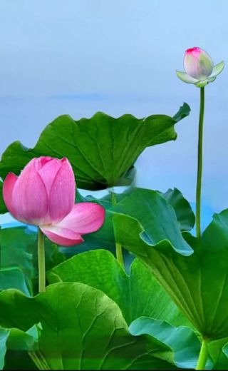 안길원님의 자유주제 · 자유게시판 작성글 사진