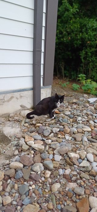 초보퍼머5도2촌준비님의 자유주제 · 자유게시판 작성글 사진