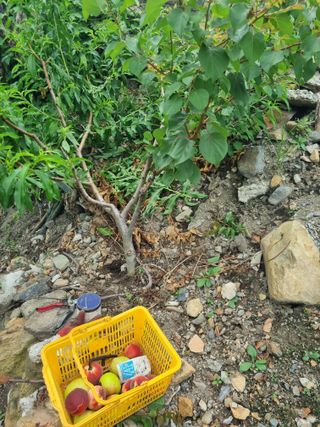 김용대님의 자유주제 · 자유게시판 작성글 사진