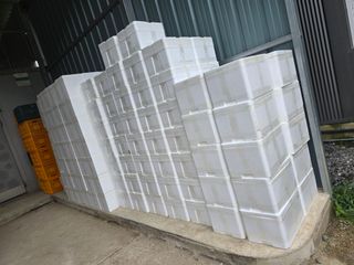 장관덕님의 자유주제 · 자유게시판 작성글 사진