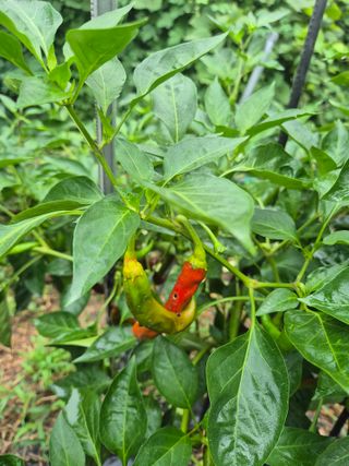 해마님의 자유주제 · 자유게시판 작성글 사진