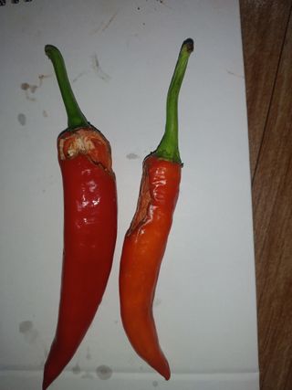 김덕수님의 자유주제 · 자유게시판 작성글 사진