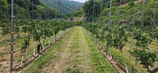 전길용님의 작성글 사진