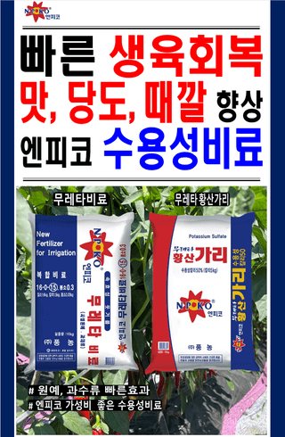 엔피코뉴스님의 자유주제·자유게시판 작성글 사진