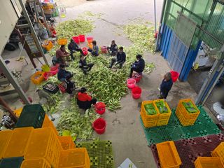 장관덕님의 자유주제 · 자유게시판 작성글 사진