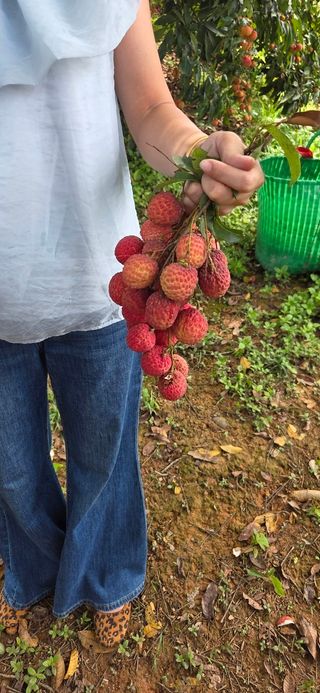 다디단 망고 농장님의 자유주제 · 자유게시판 작성글 사진