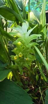 팜모닝 농사, 무엇이든 물어보세요!·참여글 게시글 이미지